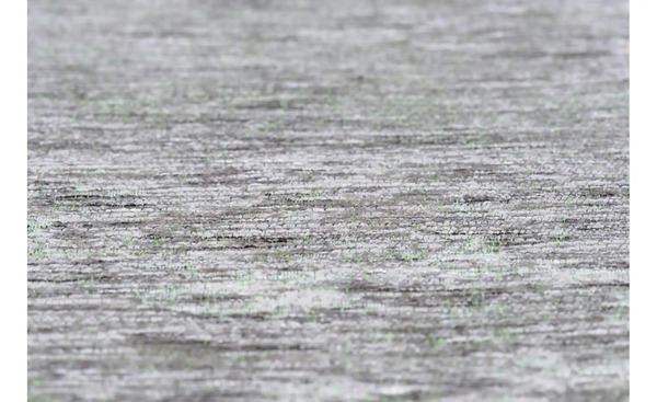 Bild 3 von Webteppich Heritage Cloud 290 cm 190 cm 190x290 cm Hellgrün