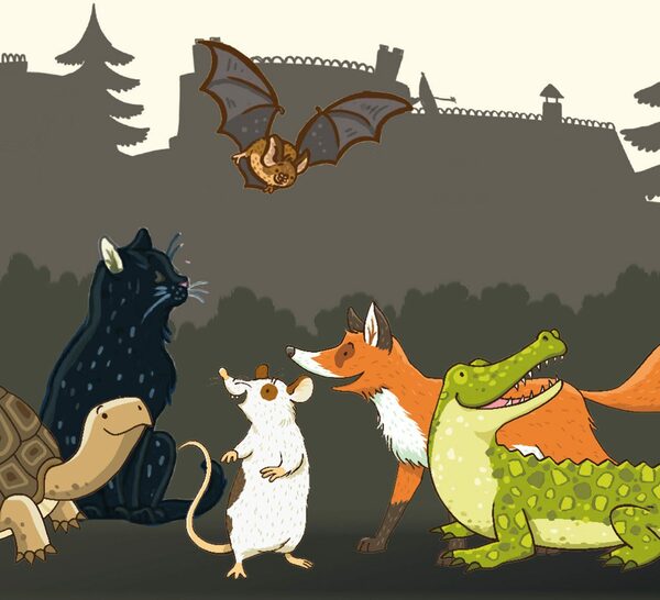 Bild 4 von Kosmos Spiel, Gesellschaftsspiel Die Schule der magischen Tiere - Nicht zu fassen, Made in Germany