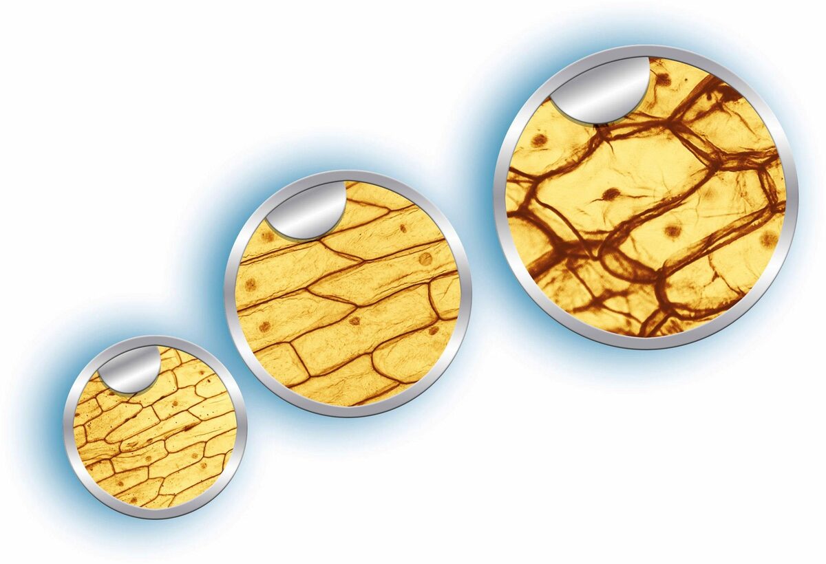 Bild 4 von Clementoni® Galileo, Natur unter dem Mikroskop Kindermikroskop (0x-600x)