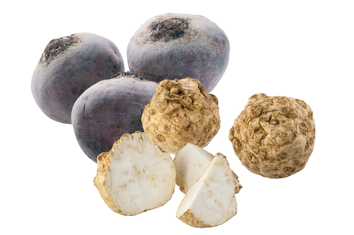 Bild 1 von Knollensellerie oder Rote Bete