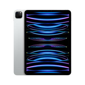 11" iPad Pro Wi-Fi silber, 2022, Apple M2 8C10G, 256GB