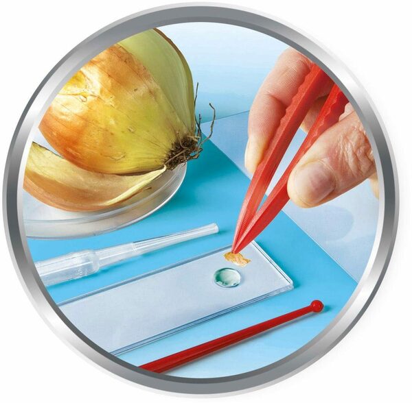 Bild 3 von Clementoni® Galileo, Natur unter dem Mikroskop Kindermikroskop (0x-600x)