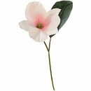 Bild 1 von Magnolienblüte softpink 31cm