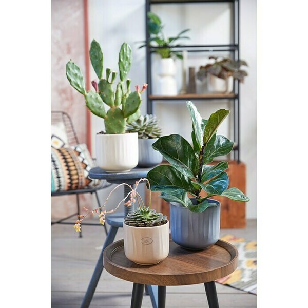 Bild 2 von Soendgen Keramik Übertopf rund Bagua