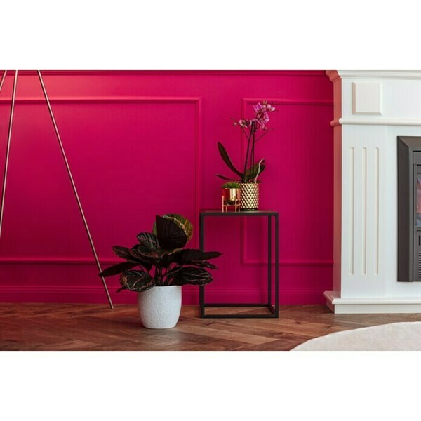 Bild 2 von Piardino Schmetterlingsorchidee