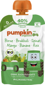 Pumpkin Organics Bio Quetschie Birne, Brokkoli, Spinat, Mango, Banane, Reis