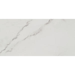 Bodenfliese 'Fontana' Feinsteinzeug weiß glänzend 30 x 60 cm