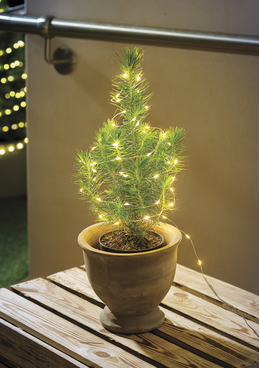 Bild 1 von IDEENWELT Micro-LED-Lichterkette Draht