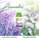 Bild 4 von Air Wick Freshmatic Max Nachfüller DUO Lavendel