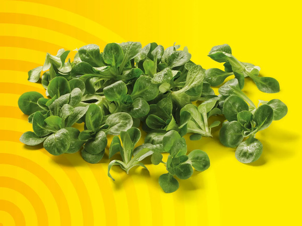 Bild 1 von Bio Feldsalat, 
         100 g