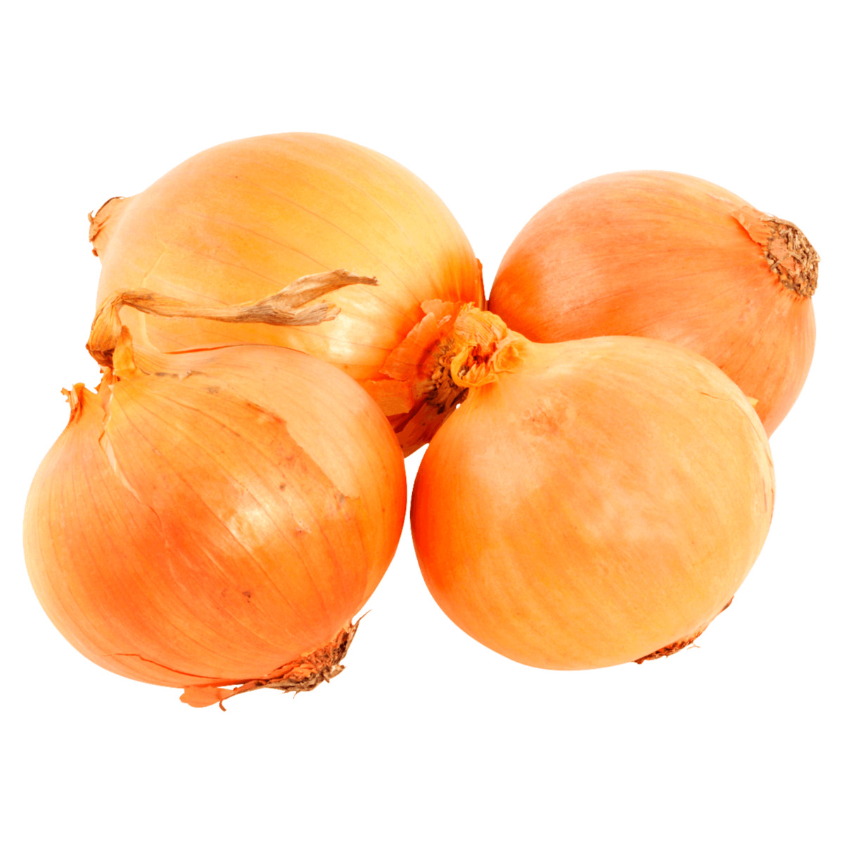 Bild 1 von Zwiebeln 2kg im Netz