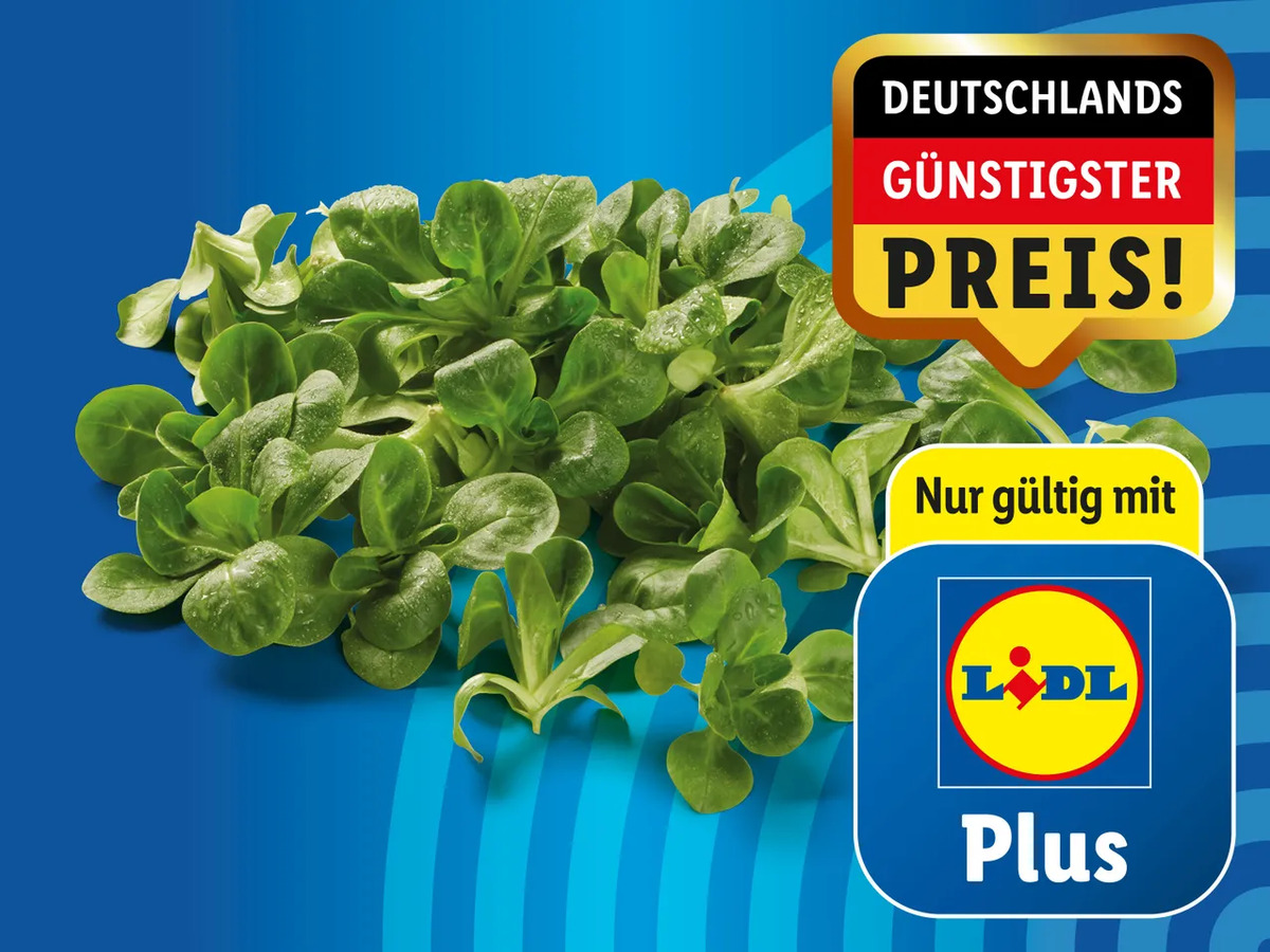 Bild 1 von Bio Feldsalat, 
         100 g