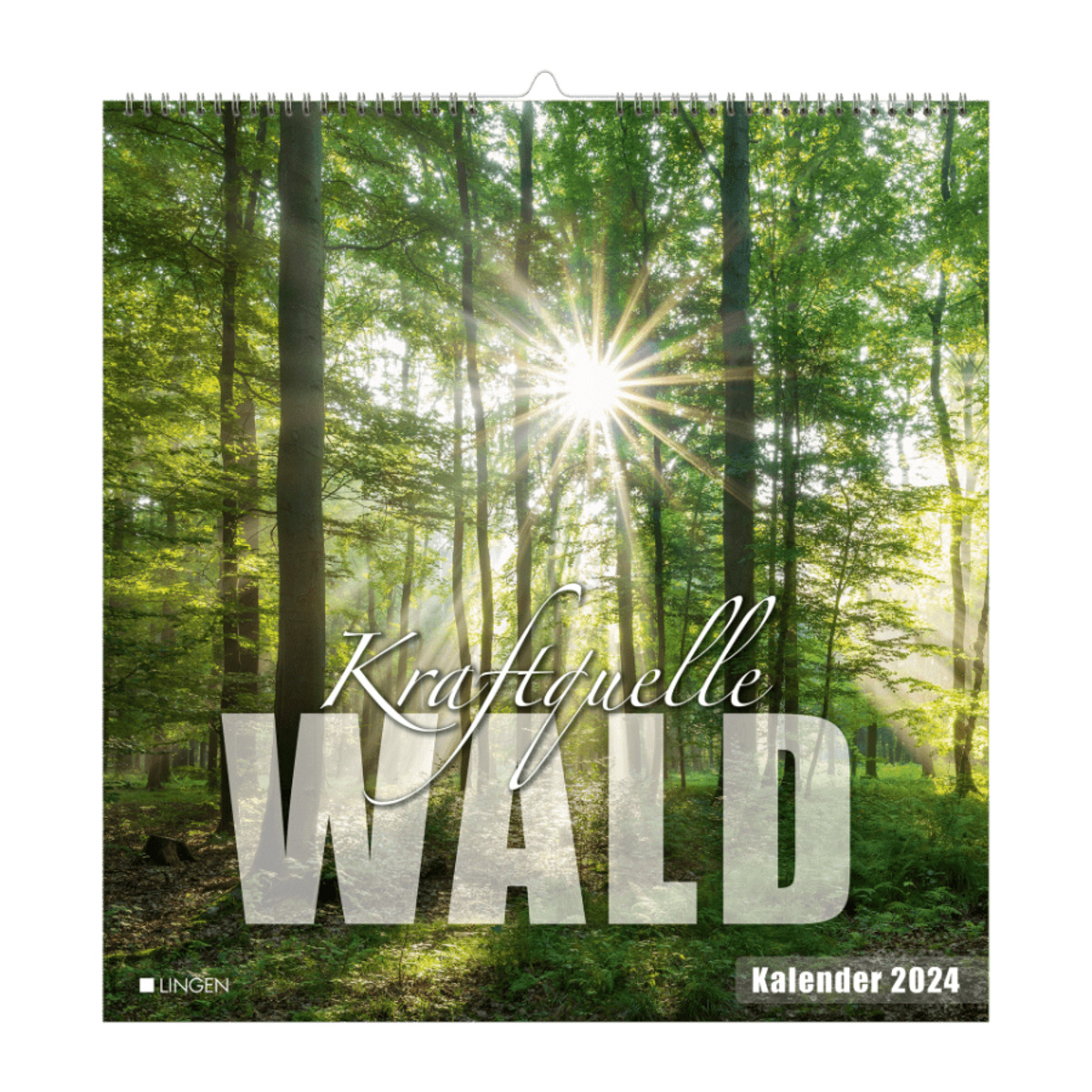 Bild 2 von Deko-Wand- / Wochenkalender