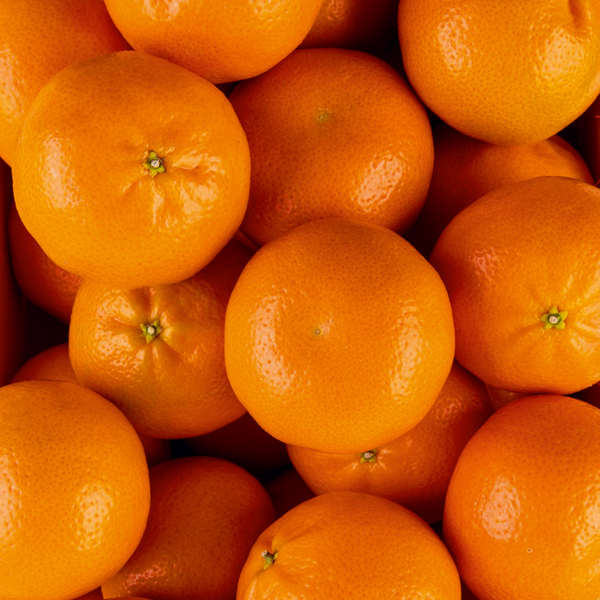 Bild 2 von Dream-Früchte Clementinen XXL