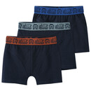 Bild 1 von 3 Jungen Boxer mit Webbund