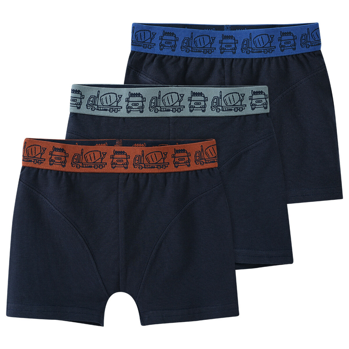 Bild 1 von 3 Jungen Boxer mit Webbund