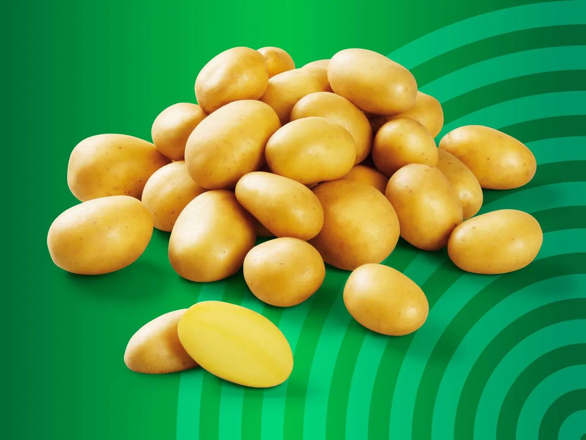 Bild 1 von Premium Speisekartoffeln, festkochend, 
         1 kg