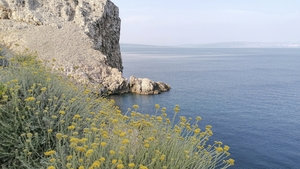Kroatien - Inselhüpfen mit dem Fahrrad in der Kvarner Bucht