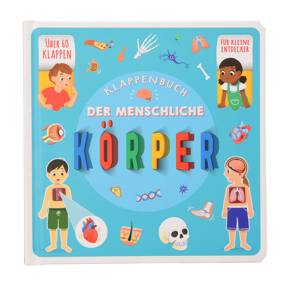 Bild 1 von Klappenbuch Körper mit über 60 Klappen