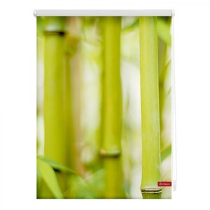 Lichtblick Rollo Klemmfix, ohne Bohren, blickdicht, Bambus - Grün, 90 x 150 cm (B x L)