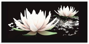 Artland Küchenrückwand "Zwei Lotusblumen auf dem Wasser", (1 tlg.), Alu Spritzschutz mit Klebeband, einfache Montage