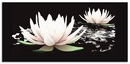 Bild 1 von Artland Küchenrückwand "Zwei Lotusblumen auf dem Wasser", (1 tlg.), Alu Spritzschutz mit Klebeband, einfache Montage