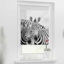 Bild 2 von Lichtblick Rollo Klemmfix, ohne Bohren, blickdicht, Zebra - Weiß Türkis, 80 cm x 150 cm (B x L)