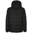 Bild 2 von Herren Velour Steppjacke mit Kapuze