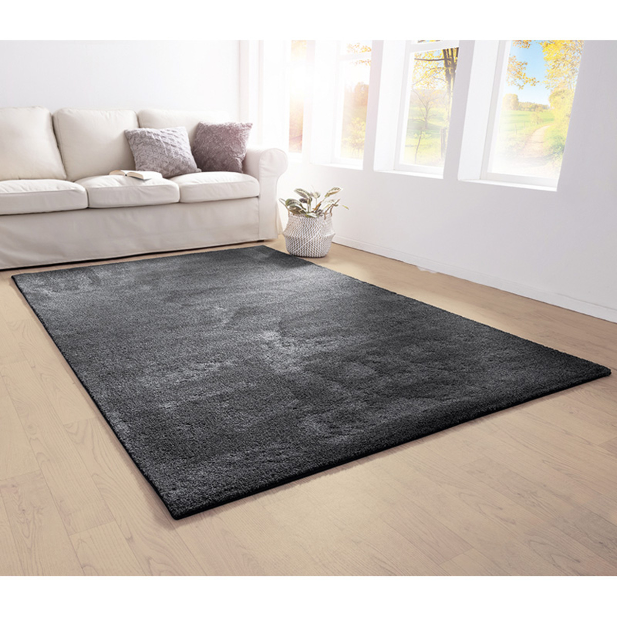Bild 1 von AW Rugs XL-Teppich "Dreamline"