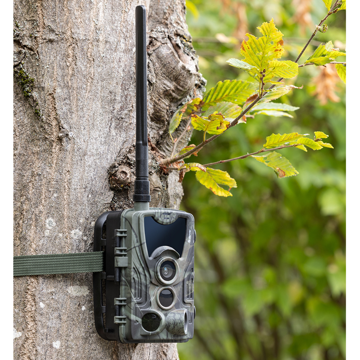 Bild 2 von Denver 4G LTE Wildkamera WCL-8040