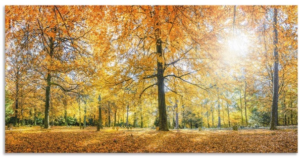 Bild 1 von Artland Küchenrückwand "Herbstwald Panorama", (1 tlg.), Alu Spritzschutz mit Klebeband, einfache Montage