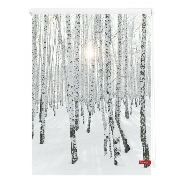 Bild 1 von Lichtblick Rollo Klemmfix, ohne Bohren, blickdicht, Birkenwald - Weiß, 100 x 150 cm (B x L)