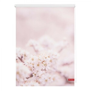 Lichtblick Rollo Klemmfix, ohne Bohren, blickdicht, Kirschblüten - Rosa Weiß, 90 cm x 150 cm (B x L)