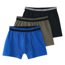 Bild 1 von 3 Jungen Boxer in verschiedenen Farben