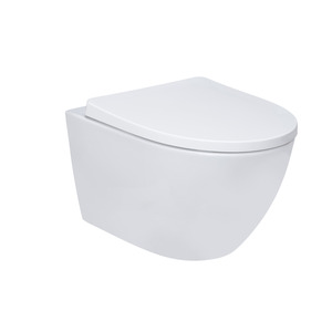 Vereg Wand-WC 'Nakia Twister Flush' Spülrandlos matt weiß, inklusive WC-Sitz