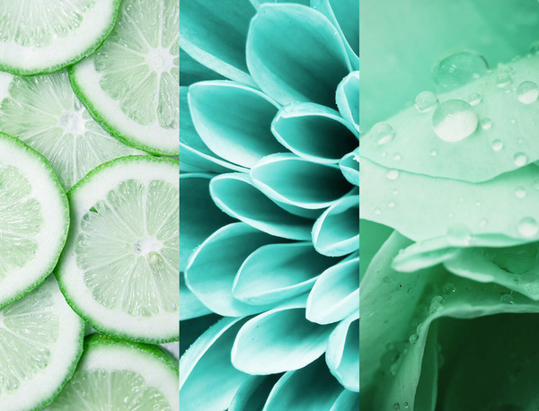 Bild 3 von 8x4 Deospray No.7 Fresh Lime