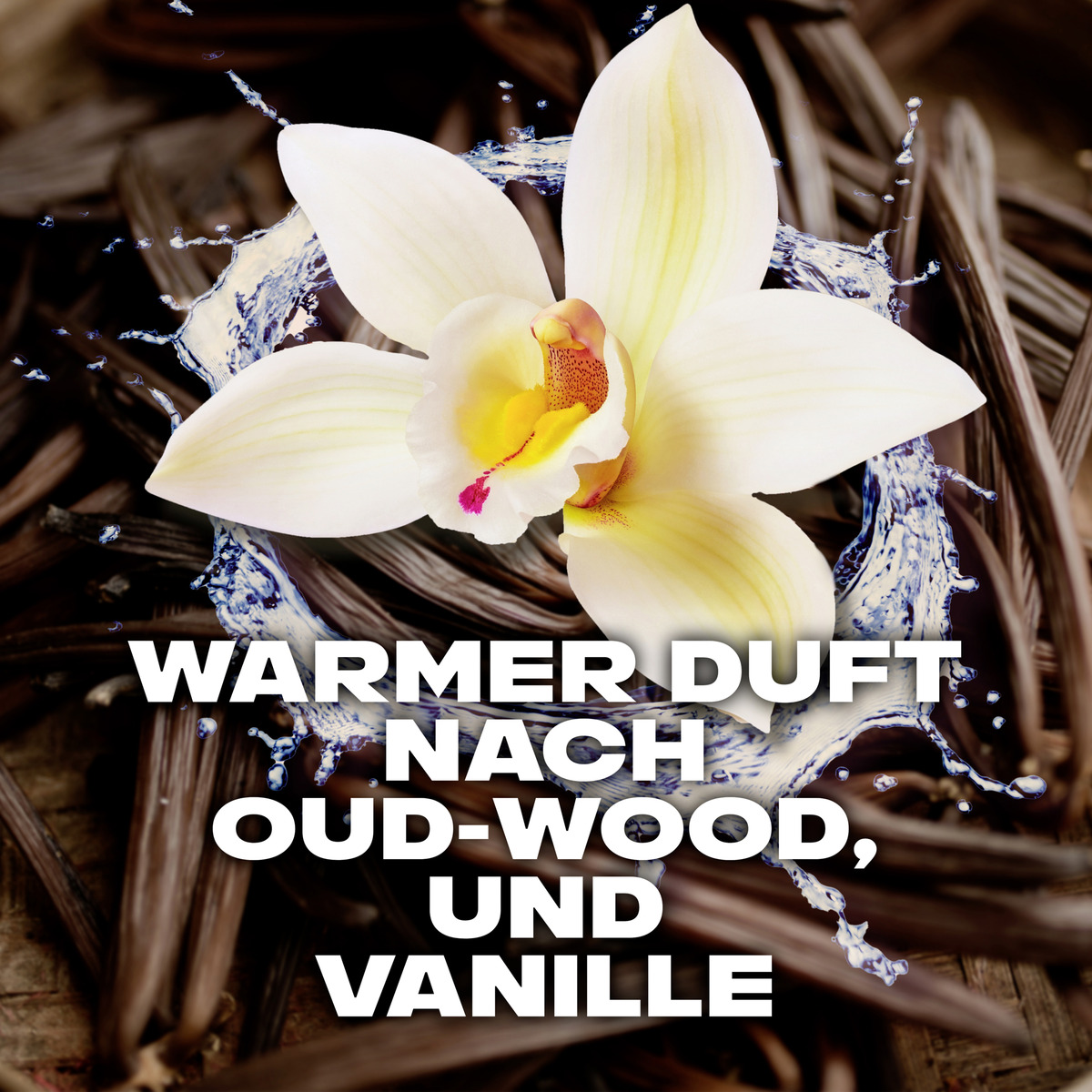 Bild 4 von AXE Deo & Bodyspray Flaxe