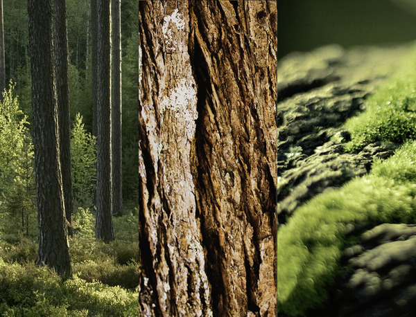 Bild 3 von 8x4 Anti-Transpirant Spray No.8 Wild Oak