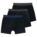 Bild 1 von 3 Jungen Boxer unifarben