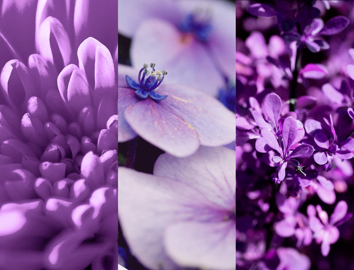 Bild 3 von 8x4 Deospray No. 4 Vibrant Flower