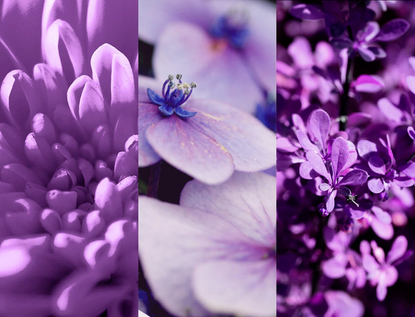 Bild 3 von 8x4 Deospray No. 4 Vibrant Flower