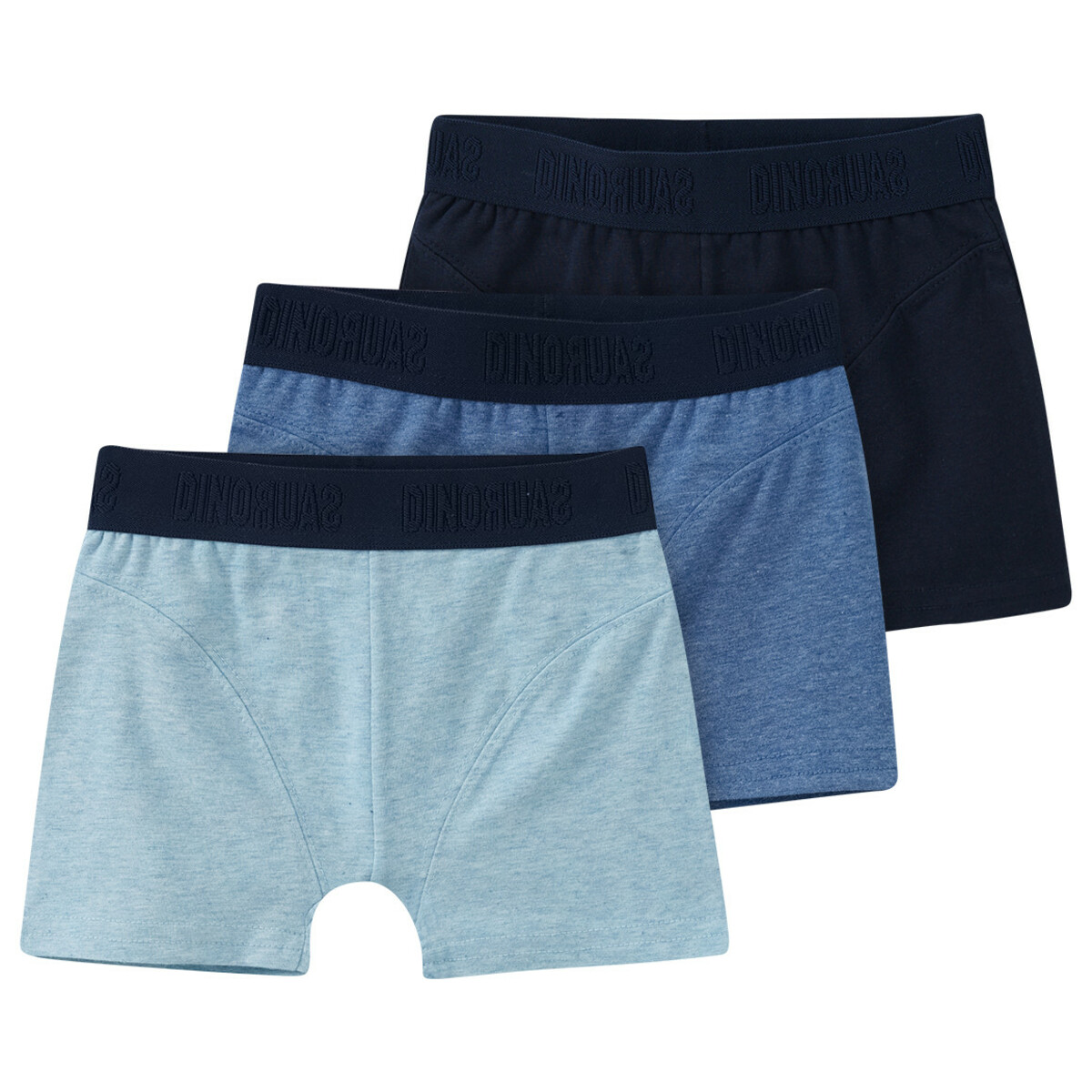 Bild 1 von 3 Jungen Boxer mit Webbund