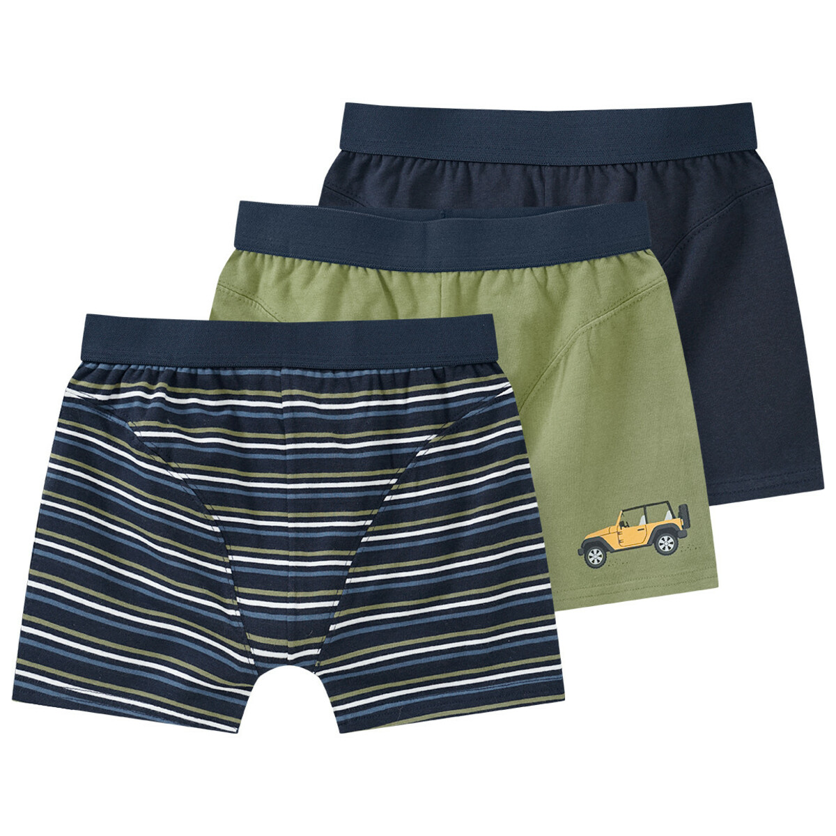 Bild 1 von 3 Jungen Boxer im Set