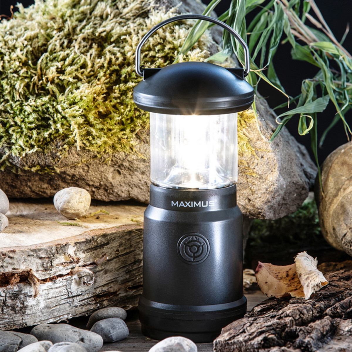 Bild 1 von Maximus Mini-Laterne