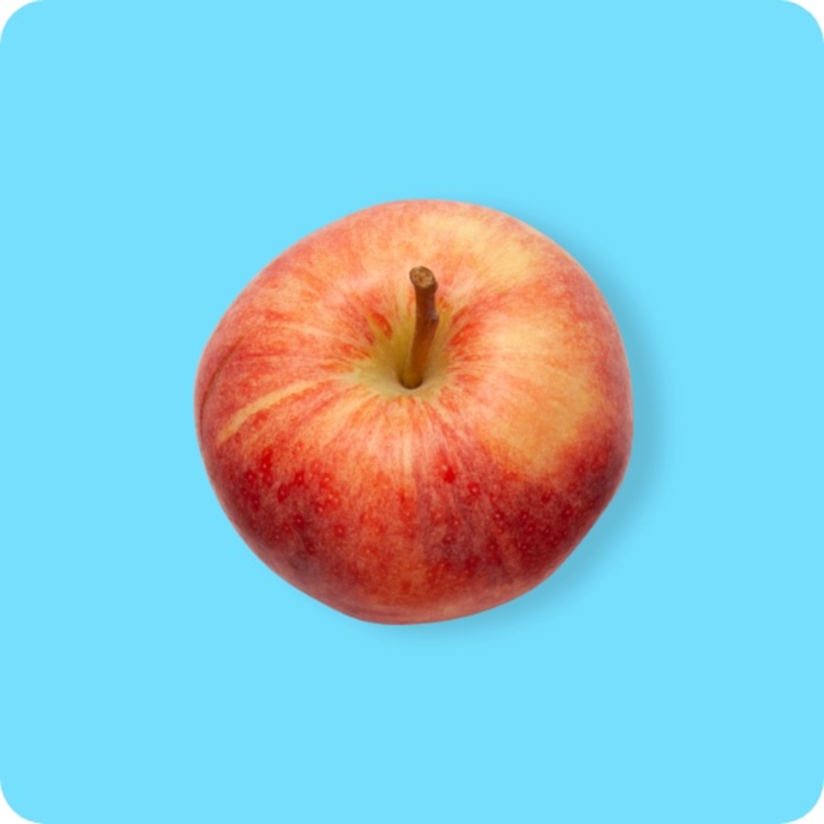 Bild 1 von Äpfel Gala