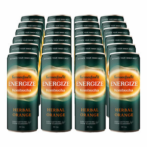 Kombucha Energize Herbal Orange 250 ml Dose, 24er Pack