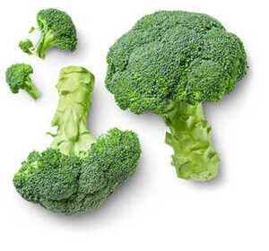 Dtsch./niederl. Broccoli