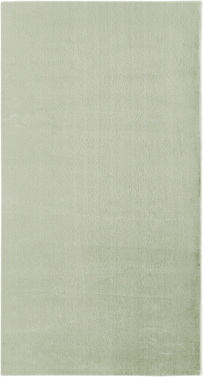 Bild 1 von Andiamo Teppich Pello, salbei, 120 x 170 cm