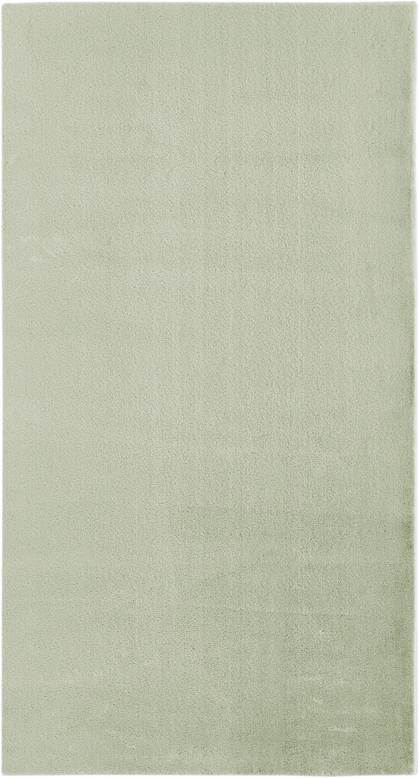 Bild 1 von Andiamo Teppich Pello, salbei, 120 x 170 cm
