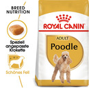 Bild 1 von ROYAL CANIN Poodle Adult 3 kg